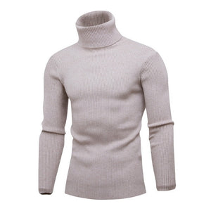 2019 High Quality Warm Turtleneck Sweater Men Fashion Solid Knitted Mens Sweaters Casual Slim Pullover Male Double Collar Tops